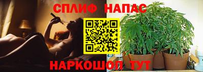 сатива Краснокаменск