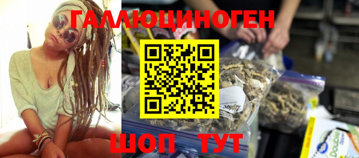 Галлюциногенные грибы Psilocybine cubensis  Вход с VPN  Камышин 